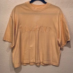 Vintage Embroidered Mizzou Crop Top